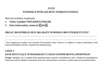 Wniosek o przyznanie Bonu Energetycznego 2024 r. Wzór 