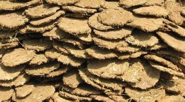 Biomasa